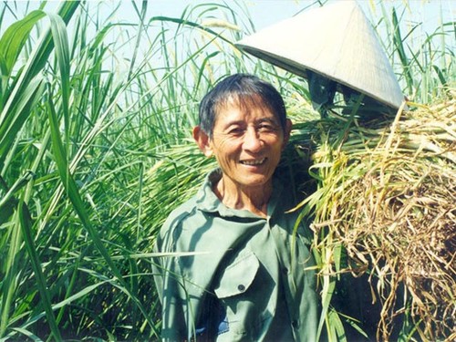 Hồ Giáo, un agriculteur remarquable  - ảnh 1