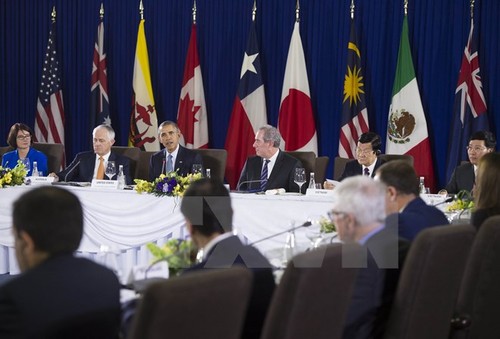 Les dirigeants des 12 pays membres du TPP se réunissent - ảnh 1