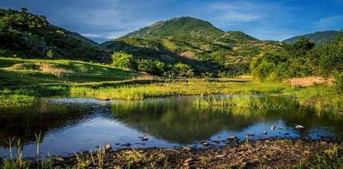 Les 7 paradis réels au Vietnam - ảnh 3
