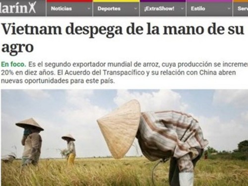 Le journal argentin Clarin salue les acquis agricoles du Vietnam - ảnh 1