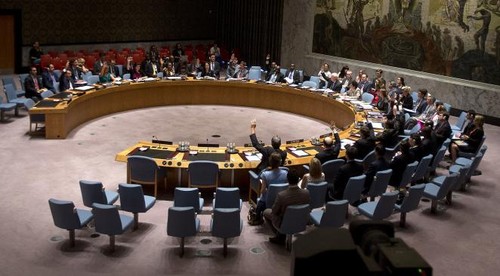 Financement de l’EI: le Conseil de sécurité de l'ONU doit adopter une résolution - ảnh 1