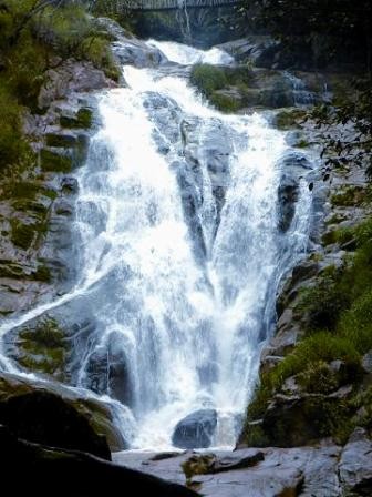 Les impressionantes chutes d’eau de Dalat - ảnh 5
