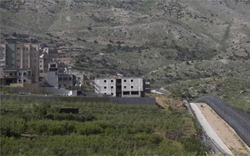 Le Golan restera sous souveraineté israélienne : le Conseil de sécurité rejette la déclaration  - ảnh 1
