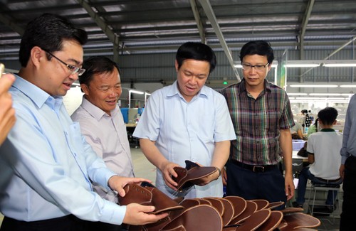 Kiên Giang appelé à intensifier la restructuration agricole - ảnh 1