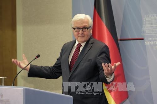 Steinmeier pour une levée progressive des sanctions contre Moscou - ảnh 1
