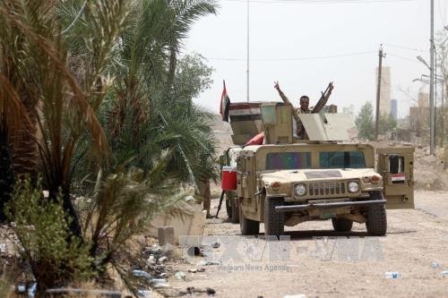 Irak: la ville de Fallujah complètement libérée, la bataille est finie - ảnh 1
