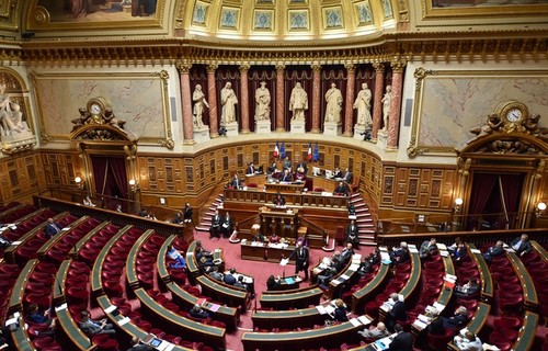 État d'urgence : le Sénat français adopte la prolongation  - ảnh 1