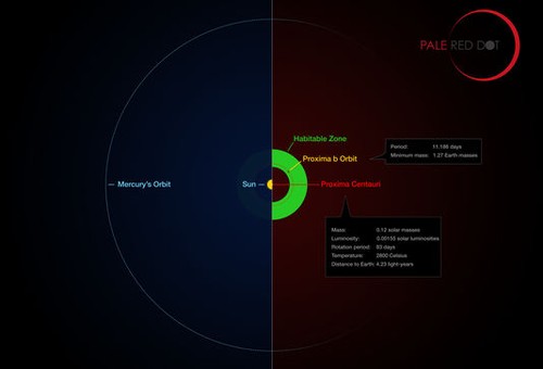 Découverte de Proxima b, une planète "habitable" proche de la Terre - ảnh 1