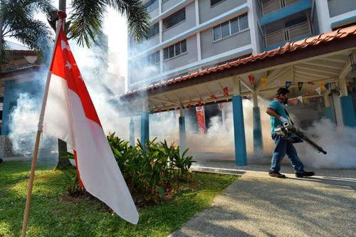 Zika : Singapour dénombre 12 nouveaux cas d'infection - ảnh 1