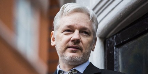 Wikileaks annule la publication de nouvelles informations pour des raisons de sécurité - ảnh 1