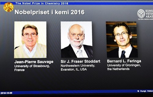Le prix Nobel de chimie attribué à trois chercheurs - ảnh 1
