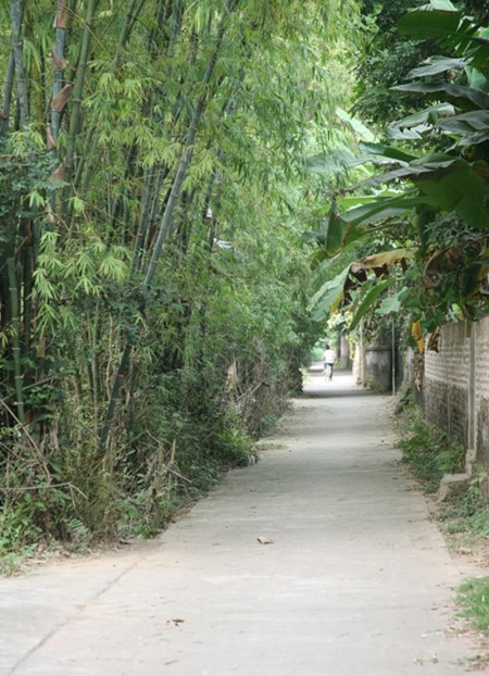 Cổ Đô, l’unique village de peintres au Vietnam - ảnh 11