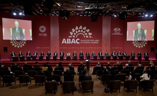 L'APEC promet de lutter «contre le protectionnisme» - ảnh 1