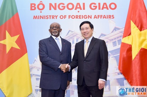 Vietnam-Cameroun: entretien entre les chefs de la diplomatie - ảnh 1