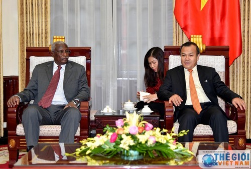 Quelles relations diplomatiques le Vietnam entretient-il avec le Soudan et le Soudan du Sud? - ảnh 1