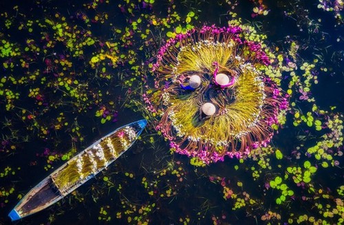 Smithsonian Photo Contest: Grand prix pour une photo ayant pour thème l’étalage d’un vendeur ambulant de poissons au Vietnam - ảnh 4