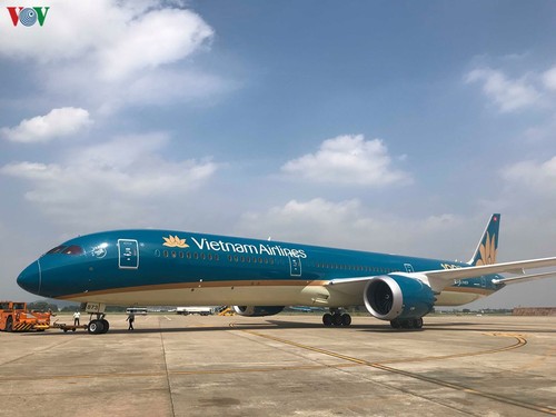 Les vols domestiques et internationaux ont-ils repris au Vietnam? - ảnh 1