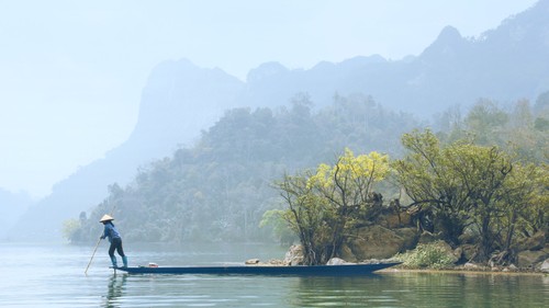 Combien de parcs nationaux y a-t-il au Vietnam? - ảnh 1