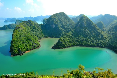 Combien de parcs nationaux y a-t-il au Vietnam? - ảnh 3