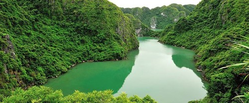 Baie d’Halong: des activités à ne pas manquer - ảnh 7