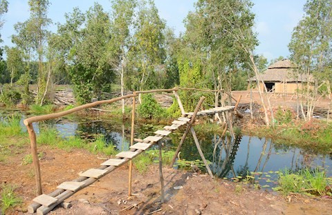 Le village flottant de Tân Lâp - ảnh 2