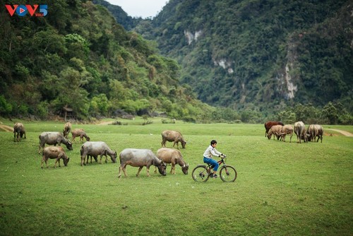 Dông Lâm – une destination idéale pour faire du camping - ảnh 15