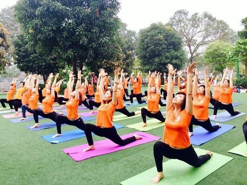 La Journée internationale du yoga est-elle célébrée au Vietnam? - ảnh 1