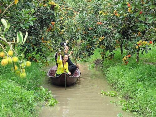 Dans quelle région du Vietnam peut-on trouver des circuits fluviaux? - ảnh 2