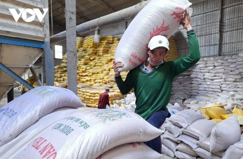L’exportation de riz du Vietnam durant le premier trimestre de 2024 - ảnh 1