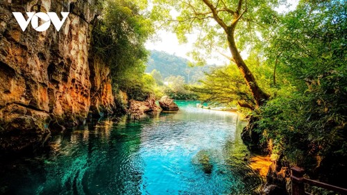“Quelles sont les destinations touristiques les plus prisées par les touristes étrangers au Vietnam?” - ảnh 3