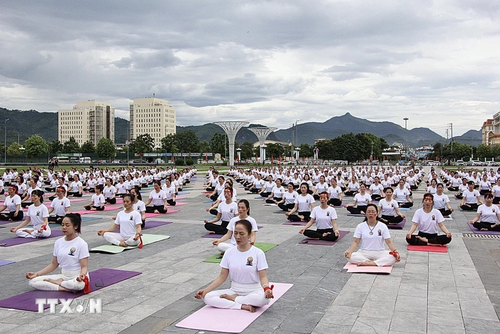Célébration des 10 ans de la Journée internationale du yoga  - ảnh 2