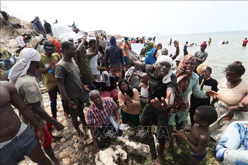 UN urges Tunisia to end expulsion of asylum seekers to desert border areas - ảnh 1