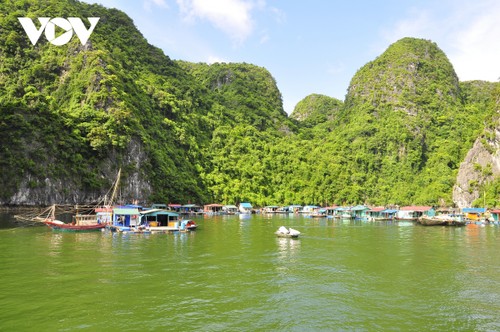 Quang Ninh preserves old fishing villages in Ha Long Bay - ảnh 1
