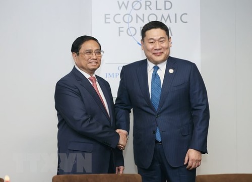 Mongolian President’s visit to Vietnam to mark a milestone in bilateral ties, ambassador says - ảnh 1