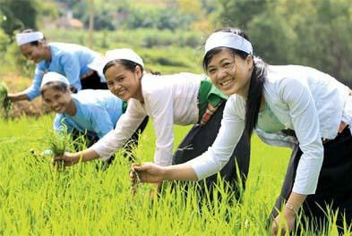 Provinsi Ninh Thuan membangun pedesaan baru. - ảnh 4