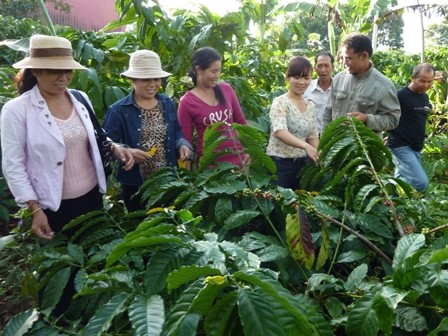 Pengalaman mengerahkan tenaga rakyat dalam pembangunan pedesaan baru di provinsi Dac Lac - ảnh 2