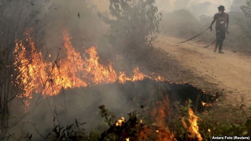 Indonesia membuka kampanye paling besar untuk memadamkan kebakaran hutan - ảnh 1
