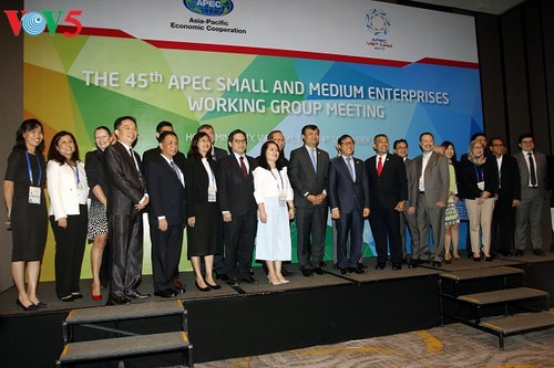 APEC 2017: bekerjasama mendorong pengembangan badan usaha kecil dan menengah - ảnh 1