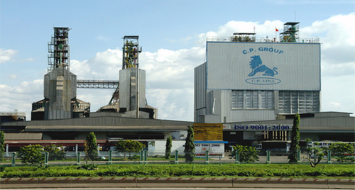 Perusahaan CPV-Pola produksi pertanian yang sukses di Vietnam - ảnh 1