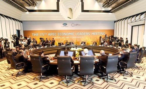 Pembukaan Konferensi  ke-25 Para Pemimpin APEC 2017 - ảnh 1