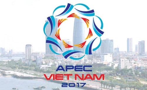 Suksesnya Tahun APEC 2017 menciptakan dinamika baru bagi Vietnam - ảnh 1