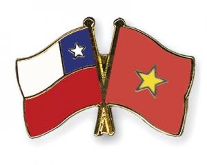 Vietnam melakukan promosi dagang dan pariwisata di Cile - ảnh 1