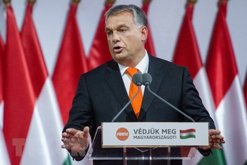 Hungaria mengadakan pemilu - ảnh 1