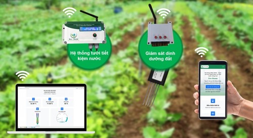 Mahasiswa Menggunakan Teknologi untuk Mendukung Petani Melakukan Pertanian Hijau - ảnh 1