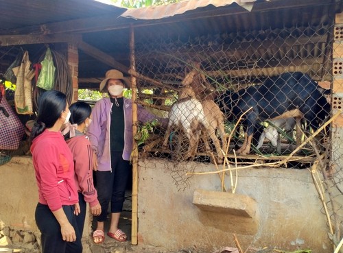 Memperbaiki Mata Pencaharian Perempuan Etnis Minoritas di Kotamadya Buon Ho, Provinsi Dak Lak - ảnh 1