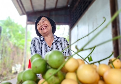 Warga U Minh Melindungi Kebun Rambai Cai Tau, Mempertahankan Ciri-Ciri Lama untuk Mengembangkan Pariwisata - ảnh 1