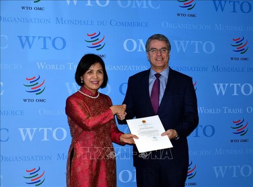 ຫວຽດ​ນາມ ໃຫ້​ຄຳ​ໝັ້ນ​ສັນ​ຍາ ສືບ​ຕໍ່​ສົມ​ທ​ົບ​ ກັບ WTO ​ຢ່າງ​ຕັ້ງ​ໜ້າ ແລະ ແໜ້ນ​ແຟ້ນ - ảnh 1