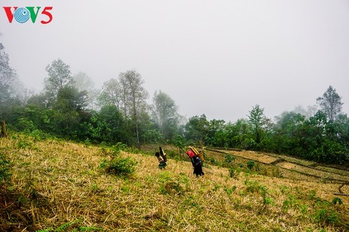 Noroeste de Vietnam entre las nubes: un paraíso terrenal - ảnh 11