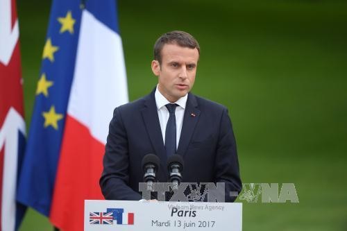 Emmanuel Macron gana elecciones de la Cámara Baja de Francia - ảnh 1