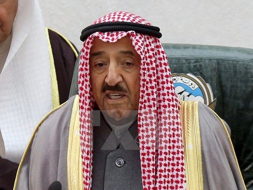 Kuwait esforzado por reducir tensiones en el Golfo Pérsico - ảnh 1